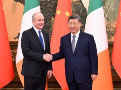 习近平会见爱尔兰总理马丁